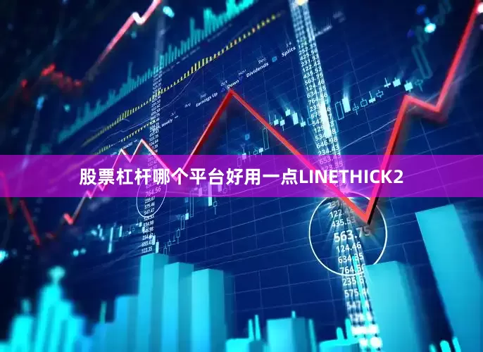 股票杠杆哪个平台好用一点LINETHICK2