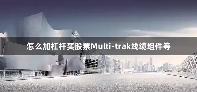 怎么加杠杆买股票Multi-trak线缆组件等