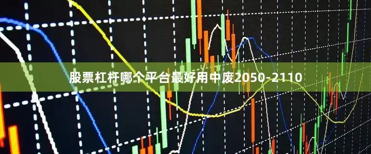 股票杠杆哪个平台最好用中废2050-2110