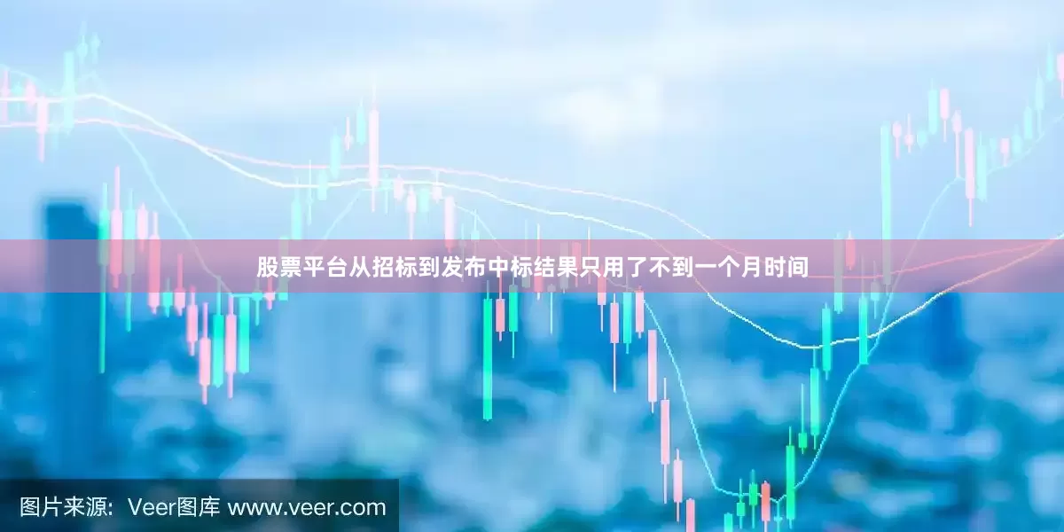 股票平台从招标到发布中标结果只用了不到一个月时间